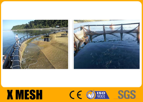 Aquacultura de malha de liga de cobre naturalmente bacteriostática para produzir peixes saudáveis