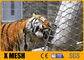7X19 tipo fio Mesh For Animal Enclosures Rustproof do jardim zoológico de SS316L